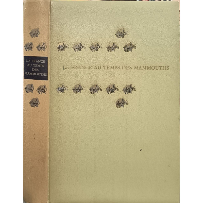 La France au temps des mammouths