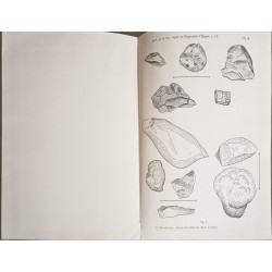 Bulletin de la Société Royale de Géographie d'Égypte Tome XX...