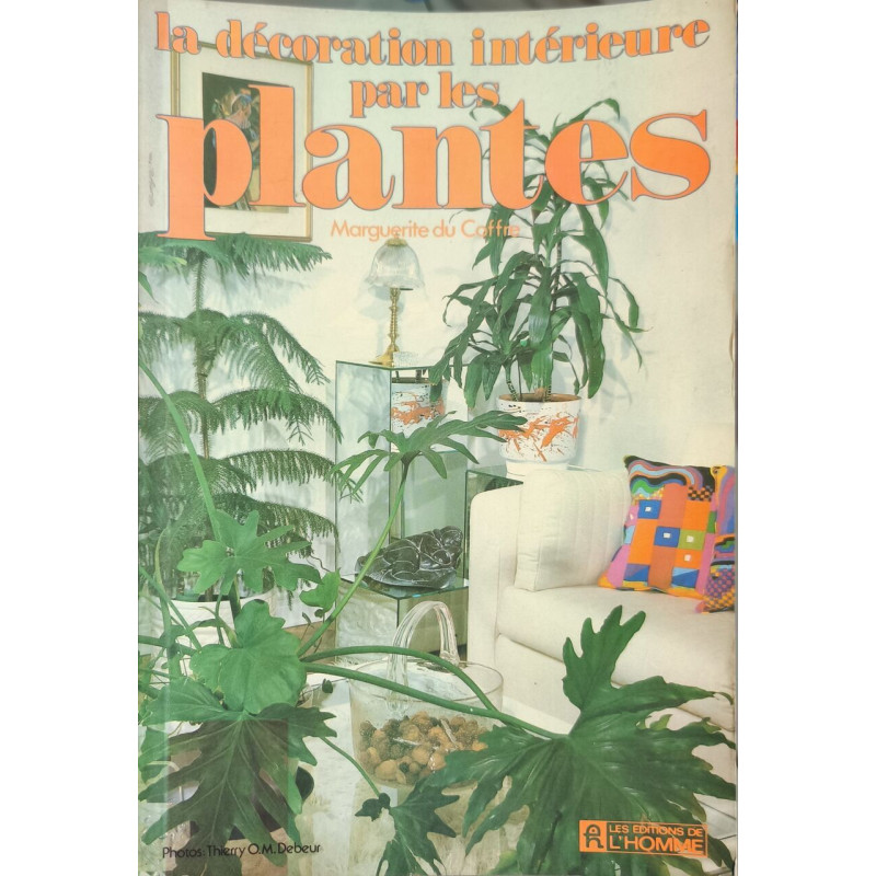La décoration intérieure par les plantes