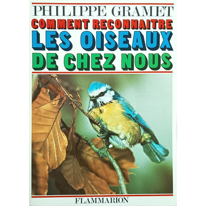 Comment reconnaître les oiseaux de chez nous