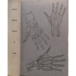 Marina di Vezza numéroté 3529