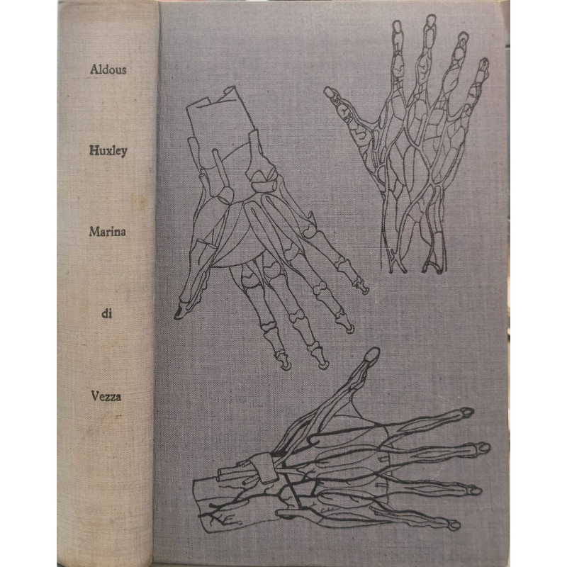 Marina di Vezza numéroté 3529