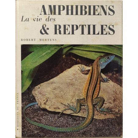 Amphibiens et Reptiles