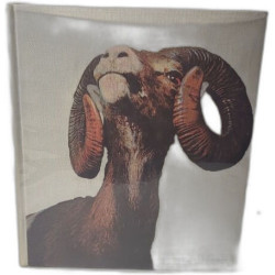 Les animaux sauvages d'Europe