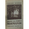Dans la forêt normande