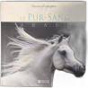 Le pur-sang arabe