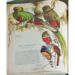 Oiseaux - panorama des 27 ordres et 155 familles du monde avien