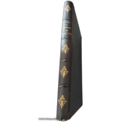 La Jeunesse de Michel-Ange