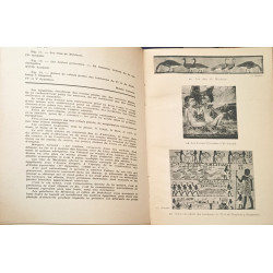 L'évolution de l'art antique - egypte asie occidentale grece rome