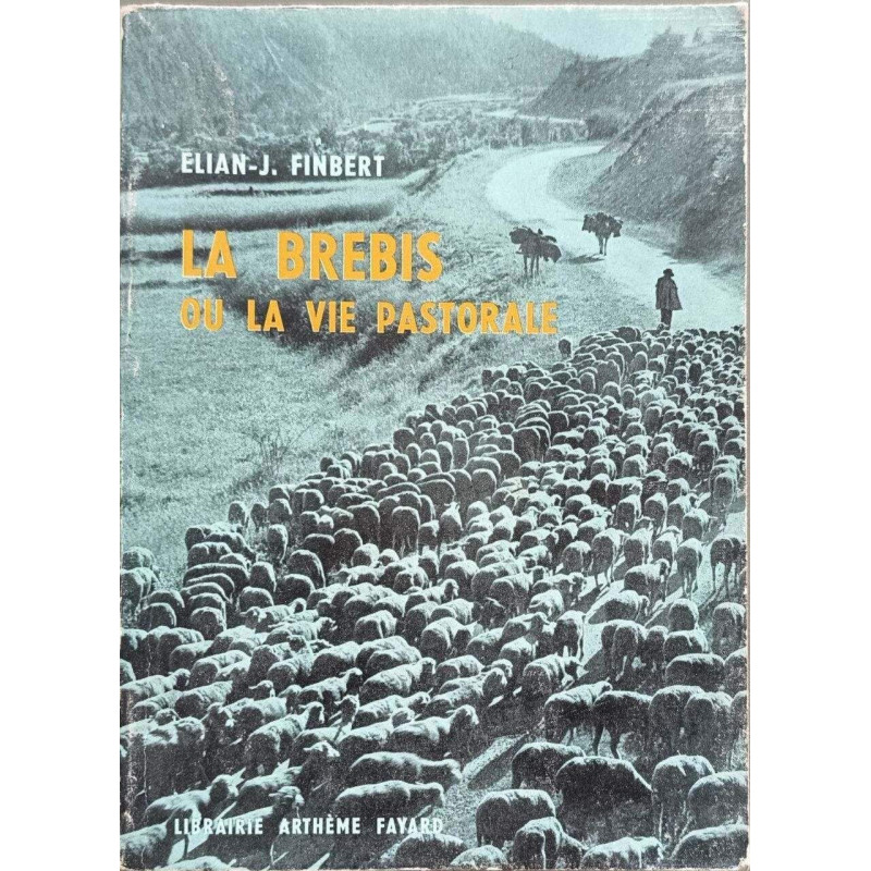 La brebis ou la vie pastorale