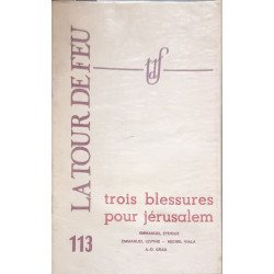 La tour de feu n° 113 : Trois blessures pour Jérusalem