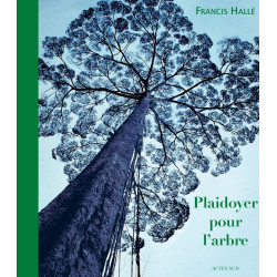 Plaidoyer pour l'arbre