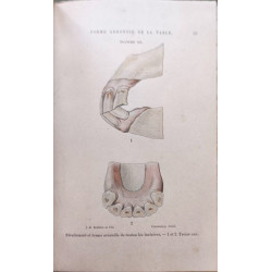 L'âge du cheval - avec 30 planches coloriées et 6 planches noires