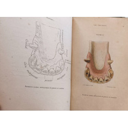 L'âge du cheval - avec 30 planches coloriées et 6 planches noires