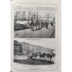 "Meilleur Souvenir de Marseille !" ( ouvrage tiré à 1000 exemplaires)