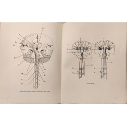 L'esprit et ses maladies (60 planches en héliogravures)