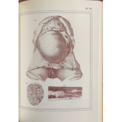 Manuel d'anatomie descriptive du corps humain - Complet en cinq...