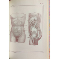 Manuel d'anatomie descriptive du corps humain - Complet en cinq...