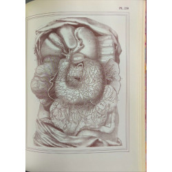 Manuel d'anatomie descriptive du corps humain - Complet en cinq...