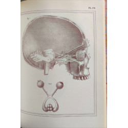 Manuel d'anatomie descriptive du corps humain - Complet en cinq...