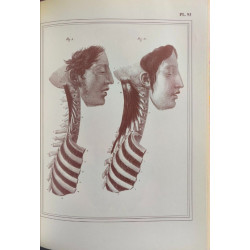 Manuel d'anatomie descriptive du corps humain - Complet en cinq...