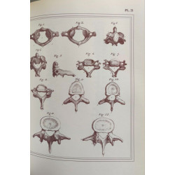 Manuel d'anatomie descriptive du corps humain - Complet en cinq...