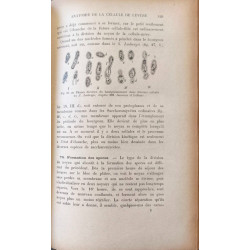 Traité de Microbiologie.Tome 3 Fermentation alcoolique