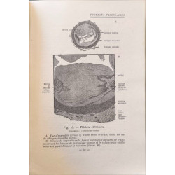 Travaux pratiques d'anatomie pathologique