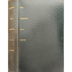 L'ingénieux hidalgo Don Quichotte de la Manche