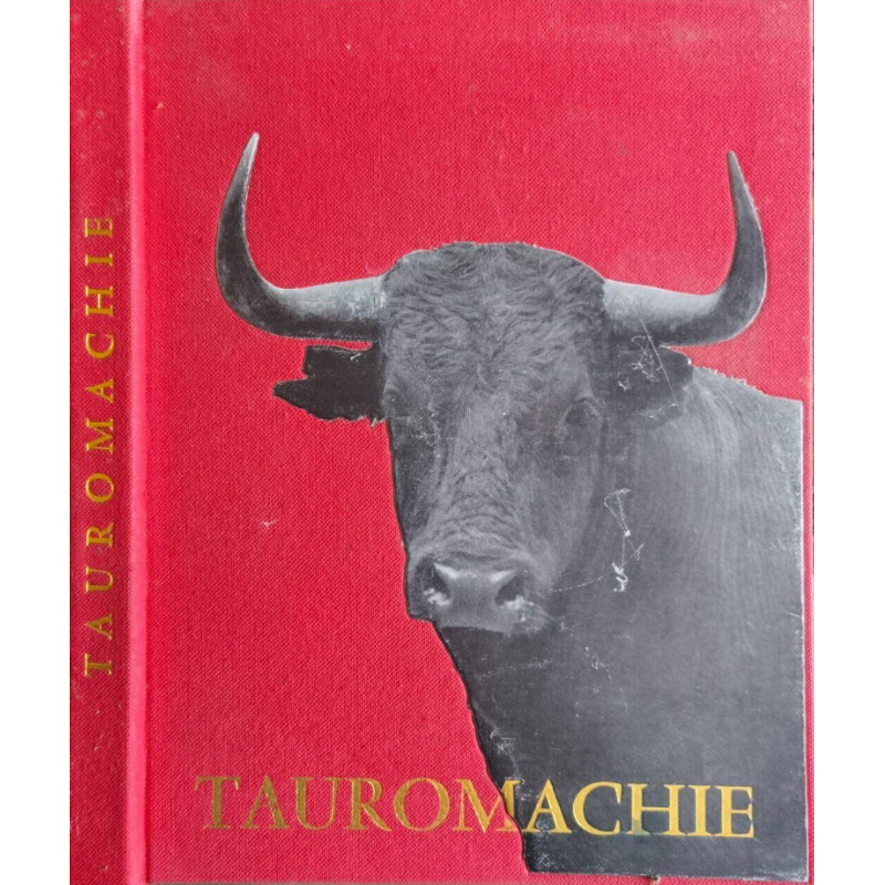 Tauromachie - Biographie d'une course