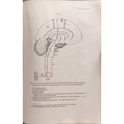 La vie sensitivo-physiologique dans ses rapports avec la vie...