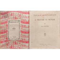 Voyage mouvementé à travers le monde