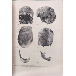 Anthropologie XXIV/1 - 1986