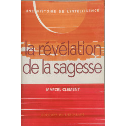 Une histoire de l'intelligence 2 - La révélation de la sagesse