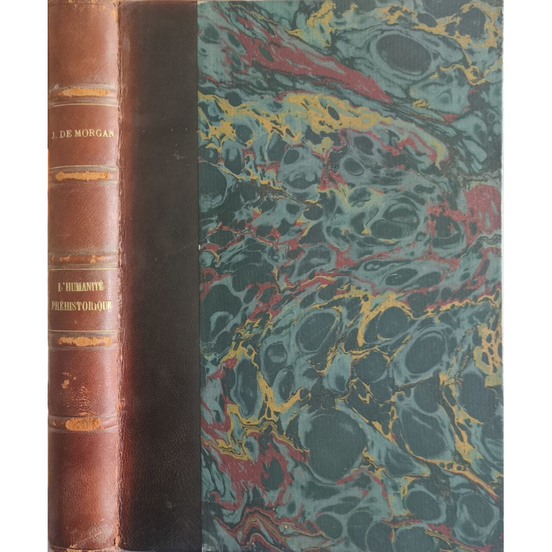 L'humanite prehistorique esquisse de prehistoire generale ( 1300...