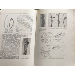 Les parasites animaux des plantes cultivées et des forêts