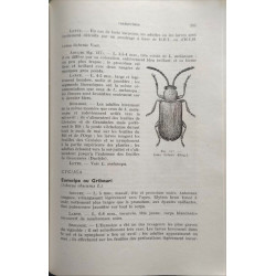 Les parasites animaux des plantes cultivées et des forêts