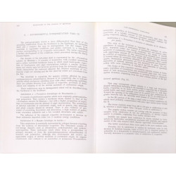 Microfaciès du Jurassique d'Aquitaine