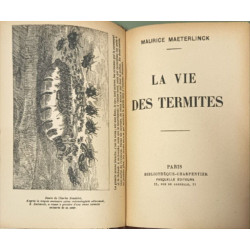 La vie des termites