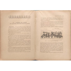 La Fumure raisonnée des Fleurs et des Plantes ornementales ( 21...