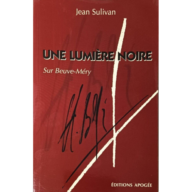 Une lumière noire: Sur Beuve-Méry