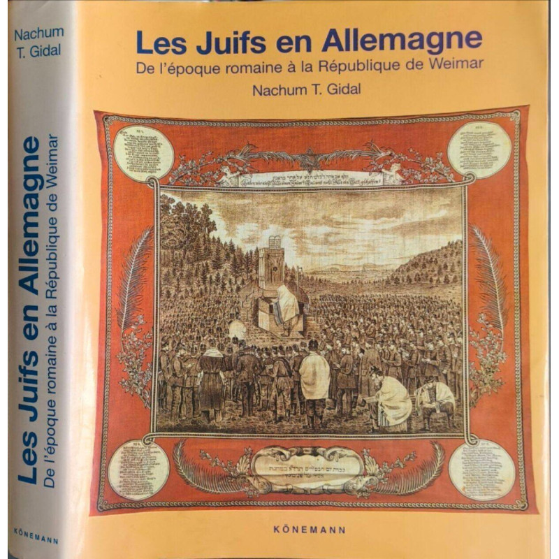 Les juifs en allemagne : de l'époque romaine à la république de weimar