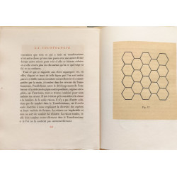 La Cocotologie -EO numéroté 342/480