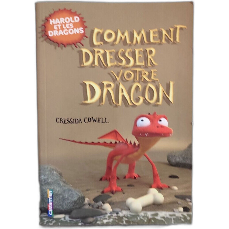 Comment dresser votre dragon