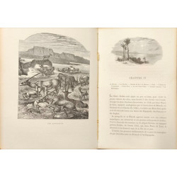 Deux ans de navigation / exploration de l'amiral chérétoff sur la...