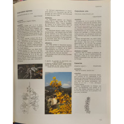 Larousse des arbres