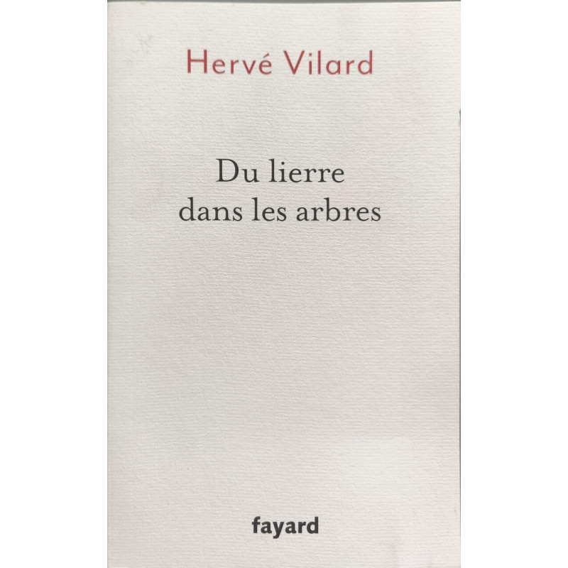 Du lierre dans les arbres