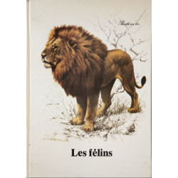 Les félins illustrations contrecollées (en Français et Néerlandais)