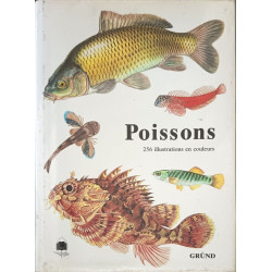 Poissons 256 illustrations en couleurs