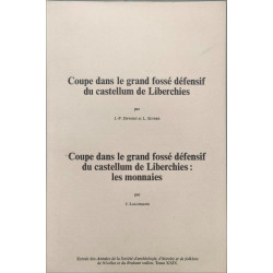 Coupe dans le grand fossé défensif du castellum de Liberchies :...